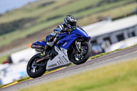 PJ-Motorsport-2019;anglesey-no-limits-trackday;anglesey-photographs;anglesey-trackday-photographs;enduro-digital-images;event-digital-images;eventdigitalimages;no-limits-trackdays;peter-wileman-photography;racing-digital-images;trac-mon;trackday-digital-images;trackday-photos;ty-croes